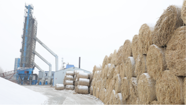 煤炭?jī)r(jià)格高，烘糧利潤(rùn)低，吉林大安市500噸糧食烘干塔改用秸稈大包直燃鍋爐，每天省3萬(wàn)